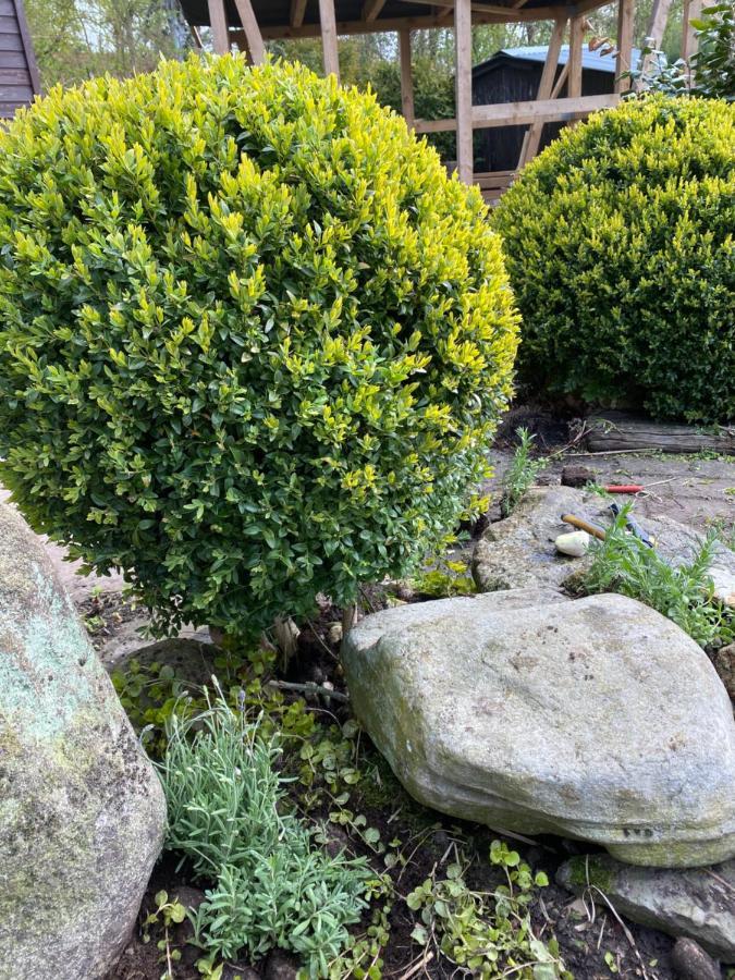 Nordseevilla Jade Schweiburg Dış mekan fotoğraf